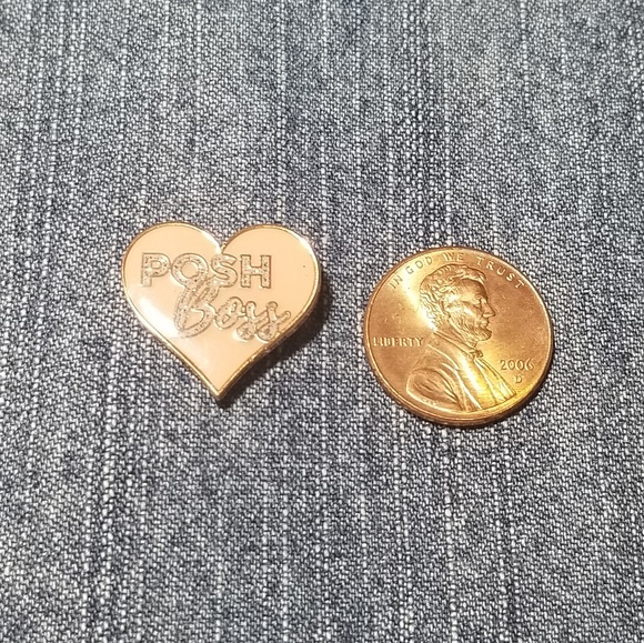 POSH BOSS Lapel Pin - Picture 4 of 4